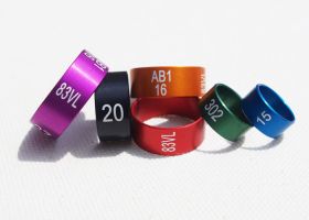 Special Rings in coloured Aluminium