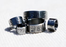 Rings in x8CrNiS18-9 Steel