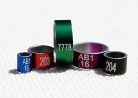 Coloured Aluminium Rings